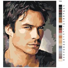 Картина по номерам T834 "Иэн Сомерхолдер-Деймон. Дневники Вампира." 40х50 Brushes Paints