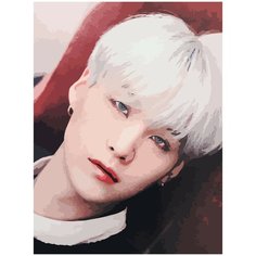 Картина по номерам на холсте BTS Suga - 819 30X40