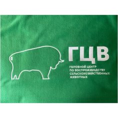Плед с фирменным логотипом АО "ГЦВ"