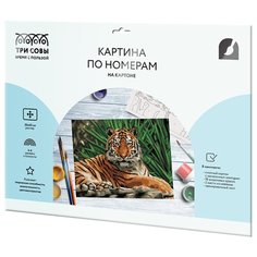 ТРИ СОВЫ картина по номерам Тигр, 40 х 30 см, разноцветный