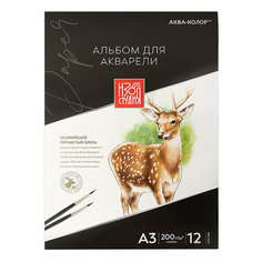 Альбом для акварели 200 г/м2 А3 30 х 40 см, склейка Воскресенская карандашная фабрика