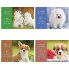 Альбом для рисования А4 40 л, спираль, обложка картон, HATBER, 205х290 мм, "Щенки" (4 вида в спайке), 40А4Всп - 12 шт.