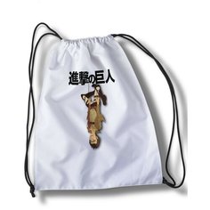 Мешок для cменной обуви аниме Атака титанов - 30486 Brut Boxers