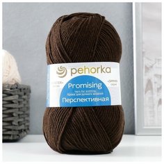 Пряжа ТероПром 50% мериносовая шерсть, 50% акрил объёмный 270м/100гр (251-Коричневый) Пехорка