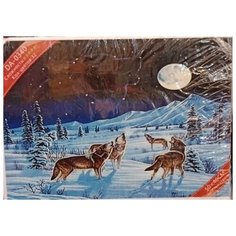 Алмазная мозаика 50X40 Russia