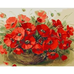 Картина по номерам Красные маки 40х50 см Hobby Home