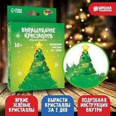 Набор для творчества «Лучистые кристаллы»: Ёлочка, цвет зелёный Школа талантов