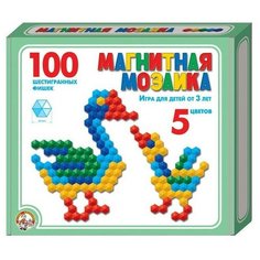 Мозаика магнитная 100 шестигран. 961 /14/ Десятое королевство
