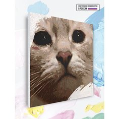Картина по номерам Плачущий кот, 40 х 40 см