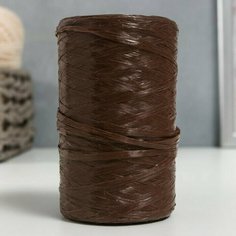 Пряжа Для вязания мочалок 100% полипропилен 400м/100+/-10 гр (мол. шоколад), 5 шт. Нет бренда