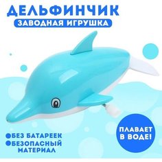 Водоплавающая игрушка «Дельфинчик», заводная NO Name