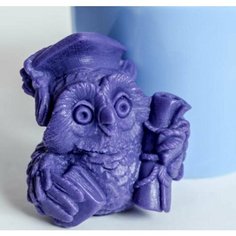 Силиконовая форма для мыла Мудрая сова 3D, для свечей, гипса 1шт 6 * 5 * 5см Нет бренда