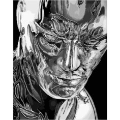 Картина по номерам Серебряный серфер 40х50 см АртТойс