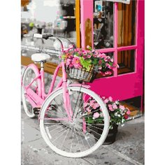 Картина по номерам Дамский велосипед 40х50 см АртТойс