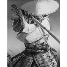 Картина по номерам Ронин 40х50 см АртТойс