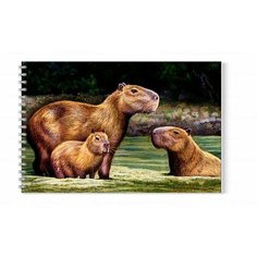 Альбом для рисования MIGOM А4 Капибара, Capybara - 0012