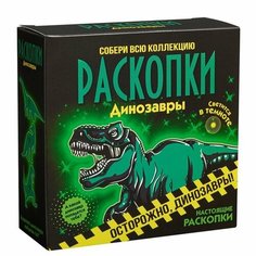 Набор для проведения раскопок Светящиеся динозавры Бумбарам