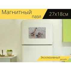 Магнитный пазл "Утенок, утка, животные" на холодильник 27 x 18 см. Lots Prints