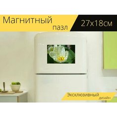 Магнитный пазл "Тюльпан, цветок, цвести" на холодильник 27 x 18 см. Lots Prints
