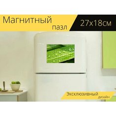 Магнитный пазл "Вода, капли, лист" на холодильник 27 x 18 см. Lots Prints