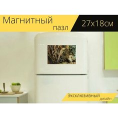 Магнитный пазл "Бородатая агама, рептилия, террариум" на холодильник 27 x 18 см. Lots Prints