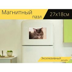 Магнитный пазл "Кошка, мейнкун, смотреть" на холодильник 27 x 18 см. Lots Prints