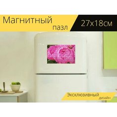 Магнитный пазл "Пионы, цветок, завод" на холодильник 27 x 18 см. Lots Prints