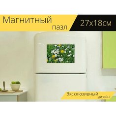 Магнитный пазл "Одуванчик, маргаритка, луг" на холодильник 27 x 18 см. Lots Prints