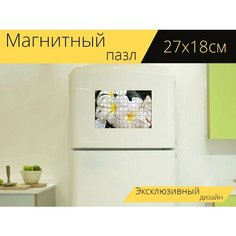 Магнитный пазл "Плюмерия, цветы, белый" на холодильник 27 x 18 см. Lots Prints