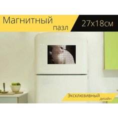 Магнитный пазл "Кошка, котенок, белый кот" на холодильник 27 x 18 см. Lots Prints