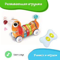 Развивающая игрушка Winfun Собака такса, звуковые и световые эффекты, учимся и играем, радиоуправление