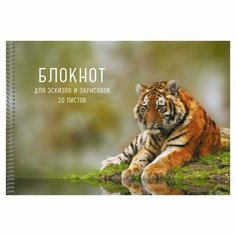 Альбом для эскизов А4, 20 листов на гребне "Тигр", обложка мелованный картон, блок офсет 80 г/м2 Gold Seller