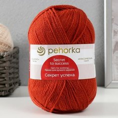 Пряжа "Секрет успеха" 100% шерсть 250м/100гр (30-Св. Терракот) Пехорка