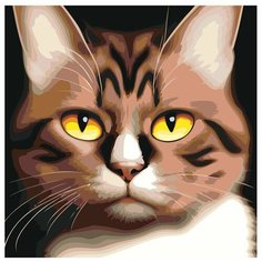 Картина по номерам,"Живопись по номерам", 40 x 40, LI-183, кошка