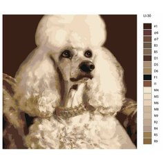 Картина по номерам,"Живопись по номерам",60 x 60, LI-30, пудель
