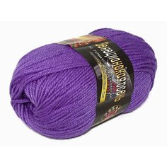 Пряжа COLOR-CITY венецианская осень (COLOR-CITY), лиловый - 2250, 85% мериносовая шерсть, 15% акрил, 6 мотков (4х100 г + 2х50 г), 4*100гр+2*50гр г, м.