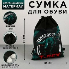 Сумка для обуви T-REX, нетканное полотно, размер 41х31 см Art Fox