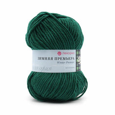 Пряжа для вязания Пехорка Зимняя Премьера 100гр.150м. (50% мериносовая шерсть, 50% акрил высокообъёмный) (376 нефрит), 10 мотков