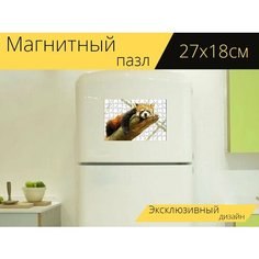 Магнитный пазл "Животное, мило, ворчун красная панда" на холодильник 27 x 18 см. Lots Prints