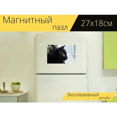 Магнитный пазл "Кот, глаз кошки, черный кот" на холодильник 27 x 18 см. Lots Prints