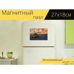 Магнитный пазл "Сосновые шишки, дорога, природа" на холодильник 27 x 18 см. Lots Prints