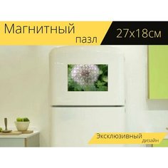Магнитный пазл "Одуванчик, летающие семена, дикорастущее растение" на холодильник 27 x 18 см. Lots Prints