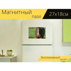 Магнитный пазл "Лошадь, животное, млекопитающее" на холодильник 27 x 18 см. Lots Prints