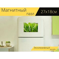 Магнитный пазл "Ландыш, белый, зеленый" на холодильник 27 x 18 см. Lots Prints