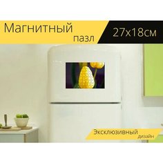 Магнитный пазл "Тюльпан, цветок, завод" на холодильник 27 x 18 см. Lots Prints