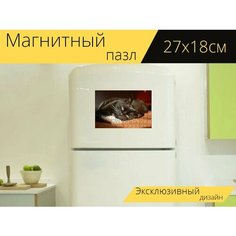 Магнитный пазл "Черный кот, смотреть, домашний питомец" на холодильник 27 x 18 см. Lots Prints
