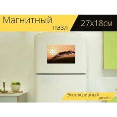 Магнитный пазл "Трава, подсветка, красный" на холодильник 27 x 18 см. Lots Prints