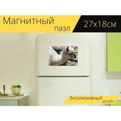 Магнитный пазл "Альпака, белая альпака, детеныш" на холодильник 27 x 18 см. Lots Prints