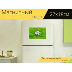 Магнитный пазл "Футбол, трава, мяч" на холодильник 27 x 18 см. Lots Prints