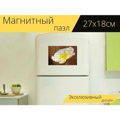 Магнитный пазл "Цветок, цвести, белый" на холодильник 27 x 18 см. Lots Prints